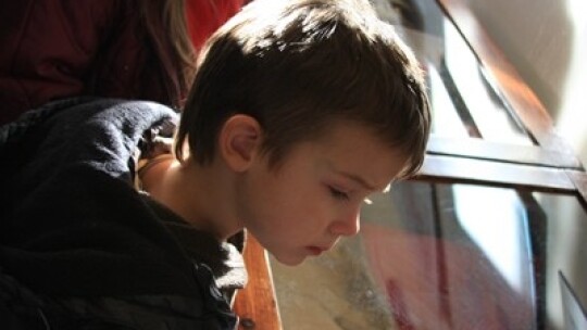 Garwolin świętuje niepodległość