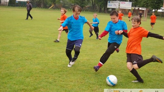 Polska wygrała Euro 2012