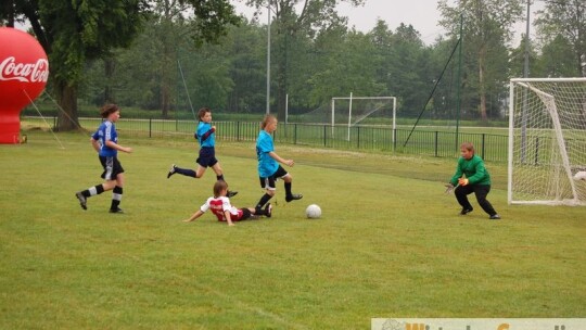 Polska wygrała Euro 2012