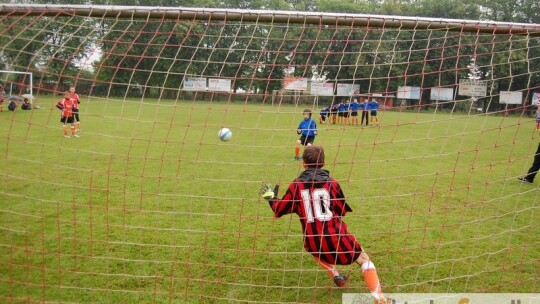 Polska wygrała Euro 2012