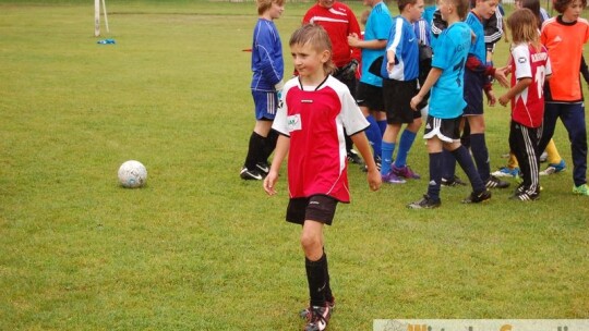 Polska wygrała Euro 2012