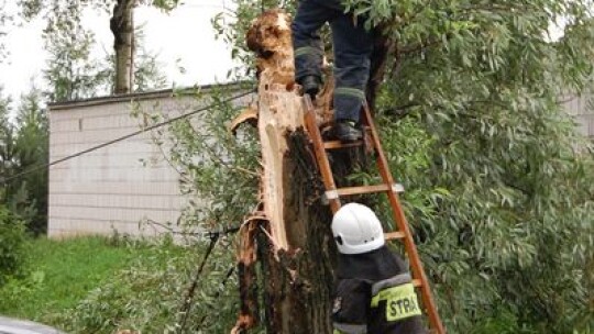 Powalone drzewa, zerwane trakcje i dachy