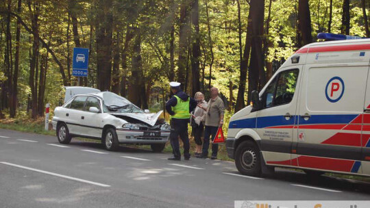 Zderzenie z łosiem na 17