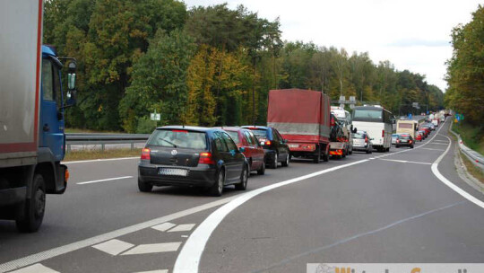 Zderzenie z łosiem na 17