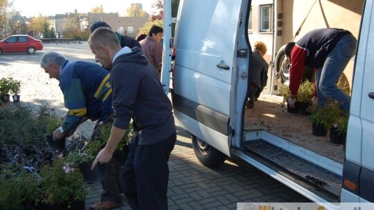 Mają siłkę pod chmurką i kolorową ścianę