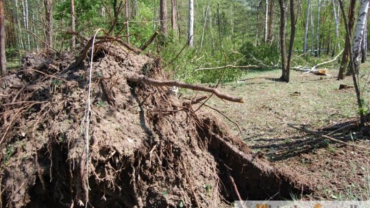 Gm. Wilga: Nawałnica zrywała dachy, niszczyła budynki