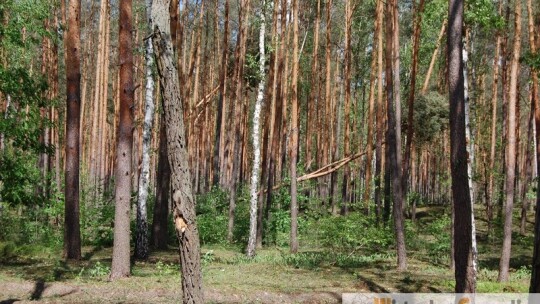 Gm. Wilga: Nawałnica zrywała dachy, niszczyła budynki