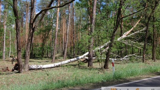 Gm. Wilga: Nawałnica zrywała dachy, niszczyła budynki