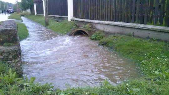 Zalane domy na Studzińskiego