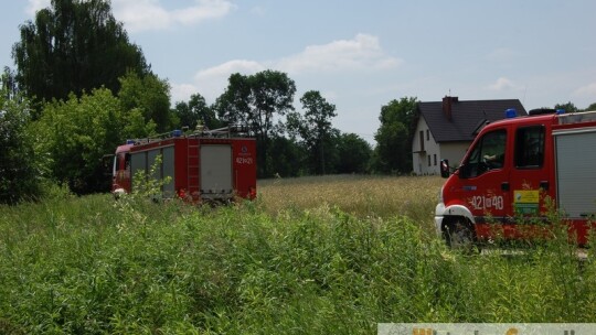 Ciągnik zderzył się z pociągiem towarowym