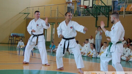 Najlepsi na Mazowszu w karate 