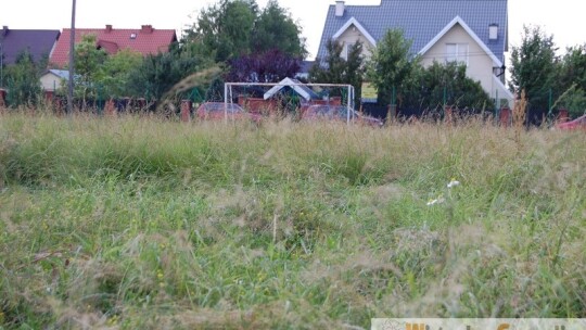 Chaszcze na boisku. Magistrat spóźnił się z koszeniem