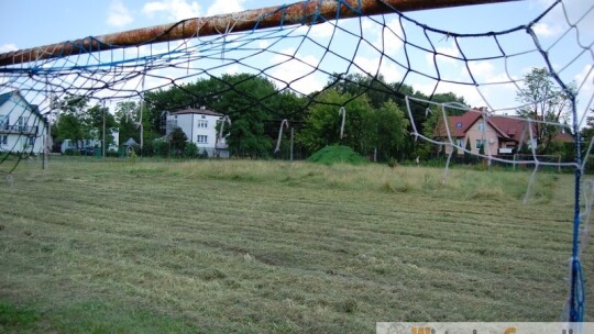 Chaszcze na boisku. Magistrat spóźnił się z koszeniem