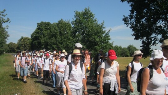 Za krokiem krok ? pielgrzymka dzień po dniu