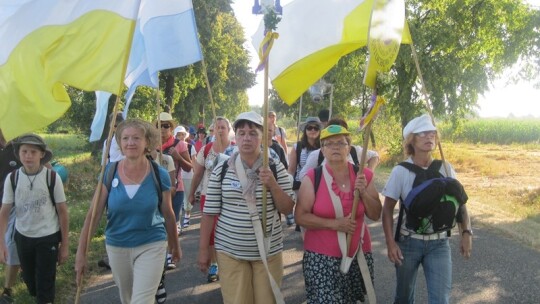 Za krokiem krok ? pielgrzymka dzień po dniu