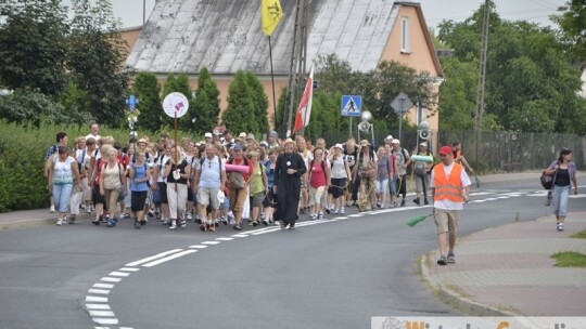 Za krokiem krok ? pielgrzymka dzień po dniu