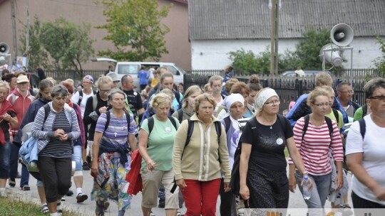 Za krokiem krok ? pielgrzymka dzień po dniu