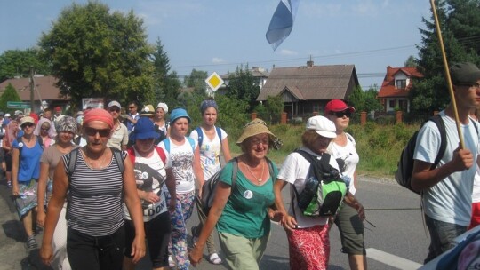 Za krokiem krok ? pielgrzymka dzień po dniu