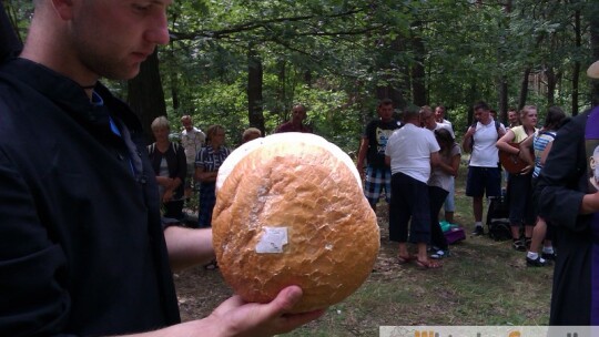 Za krokiem krok ? pielgrzymka dzień po dniu