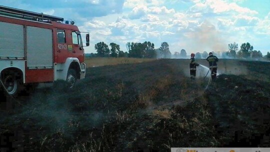 Płoną rżyska pod Garwolinem