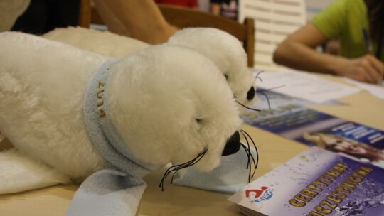 232 kilometry w 7 godzin ? Otyliada w Garwolinie