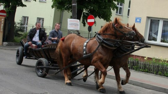 Jestem bedokiem. Kocham Garwolin ? Festiwal garwolaków