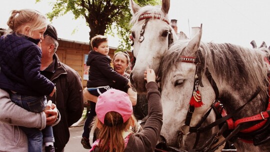 Jestem bedokiem. Kocham Garwolin ? Festiwal garwolaków