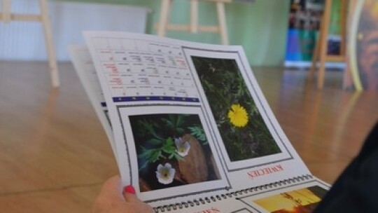 Pierwszy powiatowy ?Mam talent?