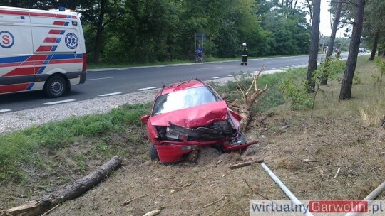 Zasnął i uderzył w drzewo