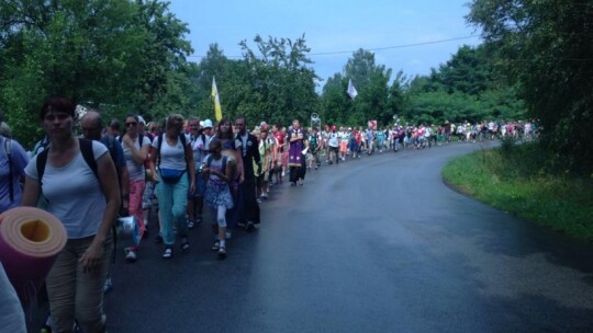 Za krokiem krok ? pielgrzymka dzień po dniu