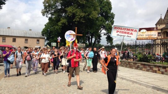 Za krokiem krok ? pielgrzymka dzień po dniu