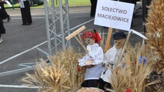 Maciejowickie święto plonów