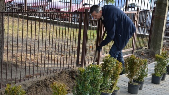 Nowe zabawki Leśnych Skrzatów