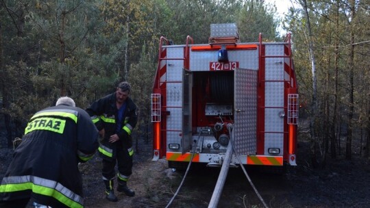 Pożar lasu pod Garwolinem. Zaczęło się od podpalenia pociętej hondy