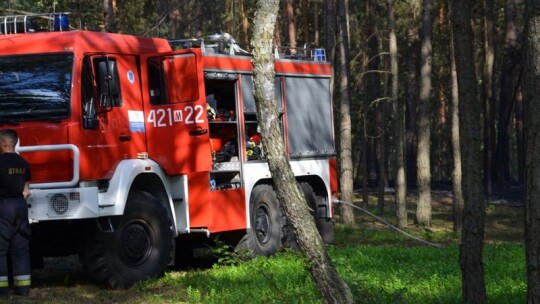 Pożar lasu pod Garwolinem. Zaczęło się od podpalenia pociętej hondy