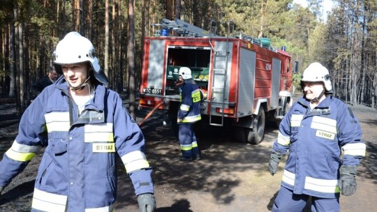 Pożar lasu pod Garwolinem. Zaczęło się od podpalenia pociętej hondy