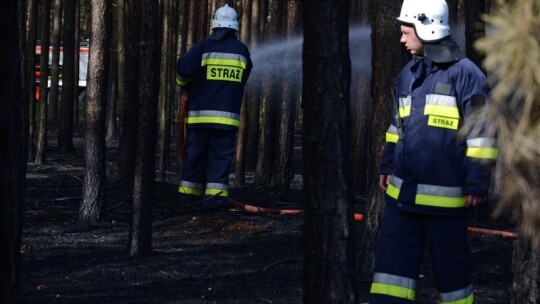 Pożar lasu pod Garwolinem. Zaczęło się od podpalenia pociętej hondy