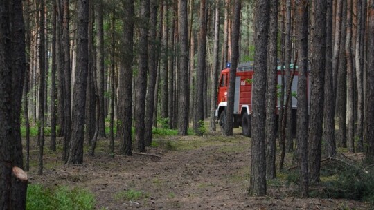 Pożar lasu pod Garwolinem. Zaczęło się od podpalenia pociętej hondy