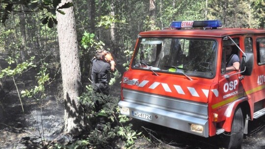 Kolejny pożar w gminie Maciejowice