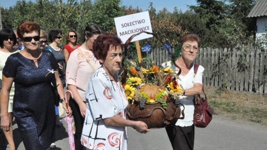 Dożynki gminy Maciejowice w Strychu