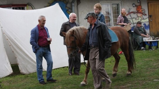 Rycerski piknik w Sulbinach