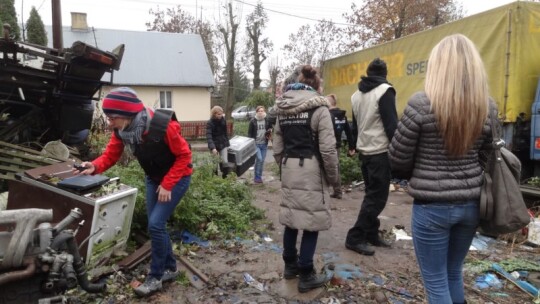 Żelechów: Gehenna psów 100 metrów od urzędu miasta