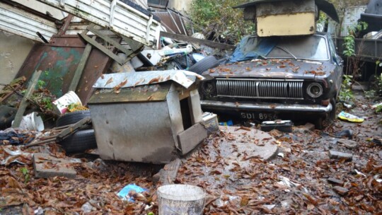 Żelechów: Gehenna psów 100 metrów od urzędu miasta