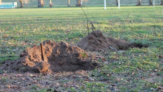 Gmina Garwolin świętowała 11 listopada