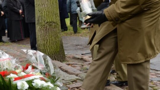 97 lat po odzyskaniu niepodległości 97 lat po odzyskaniu niepodległości