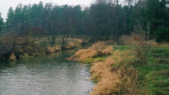 Zamiast pędzla obiektyw