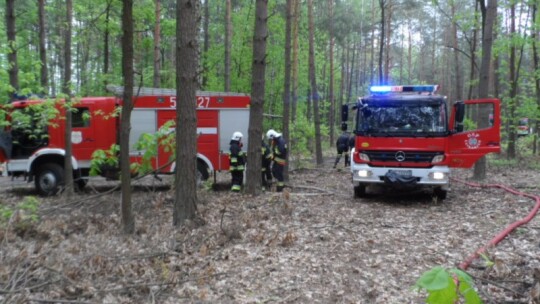 Strażacy sprawdzali się na wypadek pożaru lasu