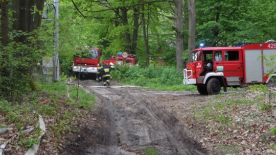 Strażacy sprawdzali się na wypadek pożaru lasu