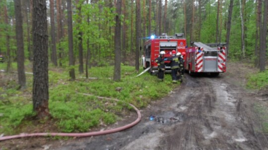 Strażacy sprawdzali się na wypadek pożaru lasu