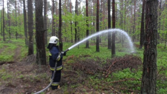 Strażacy sprawdzali się na wypadek pożaru lasu